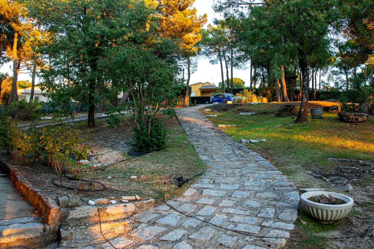 Casa Cadalso, Mirador De Gredos, Madrid Guest House Cadalso de los Vidrios Exterior photo